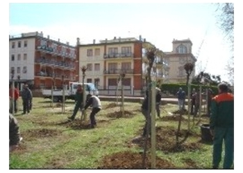 GINVE come strumento per il censimento del verde a Livorno