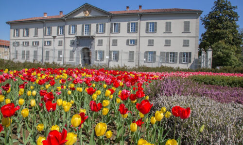 La Rappresentazione Informatizzata del Giardino e del Paesaggio