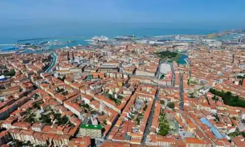 GINVE e il censimento degli alberi cittadini a Livorno