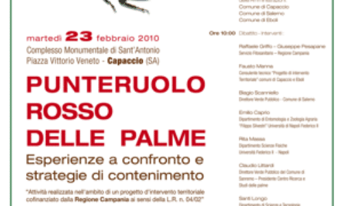 Capaccio utilizza GINVE contro il Punteruolo rosso