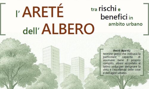 L’Areté dell’Albero tra rischi e benefici in ambito urbano