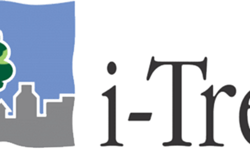 Integrazione i-Tree®